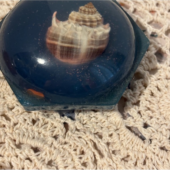 Vintage Seashells in Resin Paperweights - Picture 5 of 13